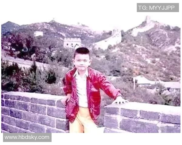 姚明明篮球之路：从少年梦想到国际巨星的辉煌历程与启示